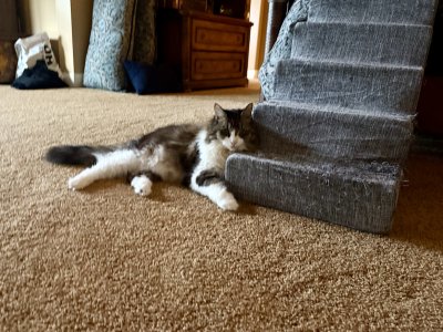 IMG_8623.jpeg