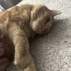 IMG_4449.jpeg