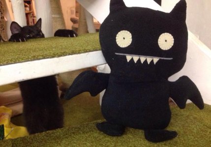 Bat Boy Bat Toy.jpg