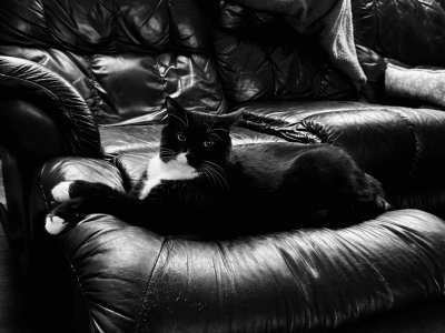 IMG_5538.jpeg