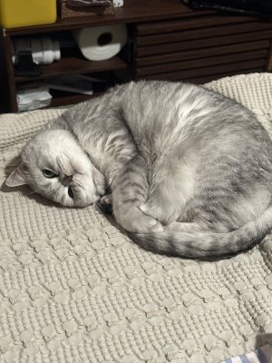 IMG_3136.jpeg