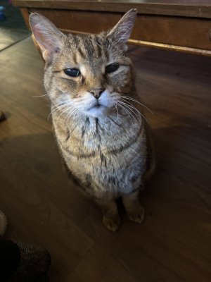 IMG_8128.jpeg