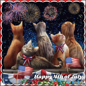 IMG_0352.gif