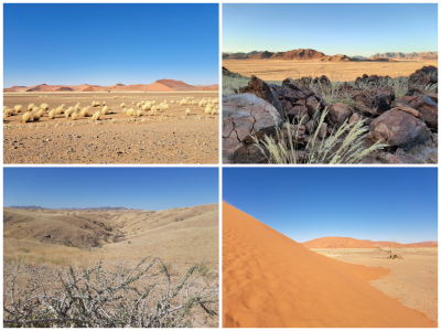 photo-collage.png.png