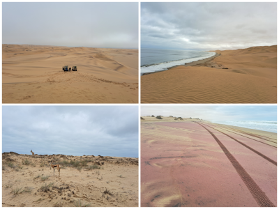 photo-collage.png (1).png