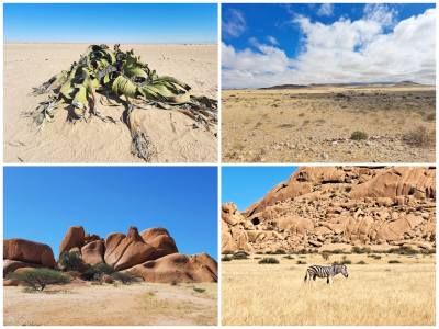 photo-collage.png (2).png