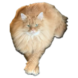 1751512034296.png