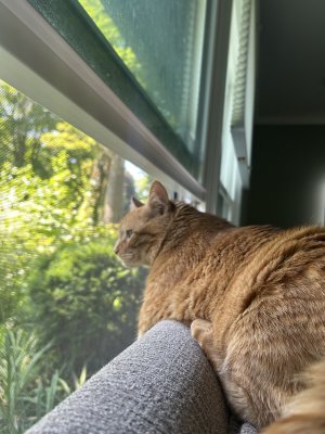 IMG_5351.jpeg