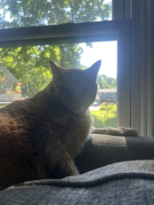 IMG_5349.jpeg