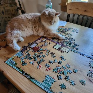 1000016040.jpg