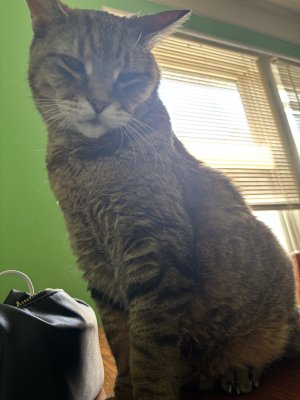 IMG_8825.jpeg