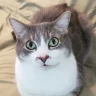 Elizabeth