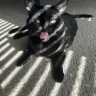 Pablosmom
