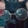 cindylovestansi