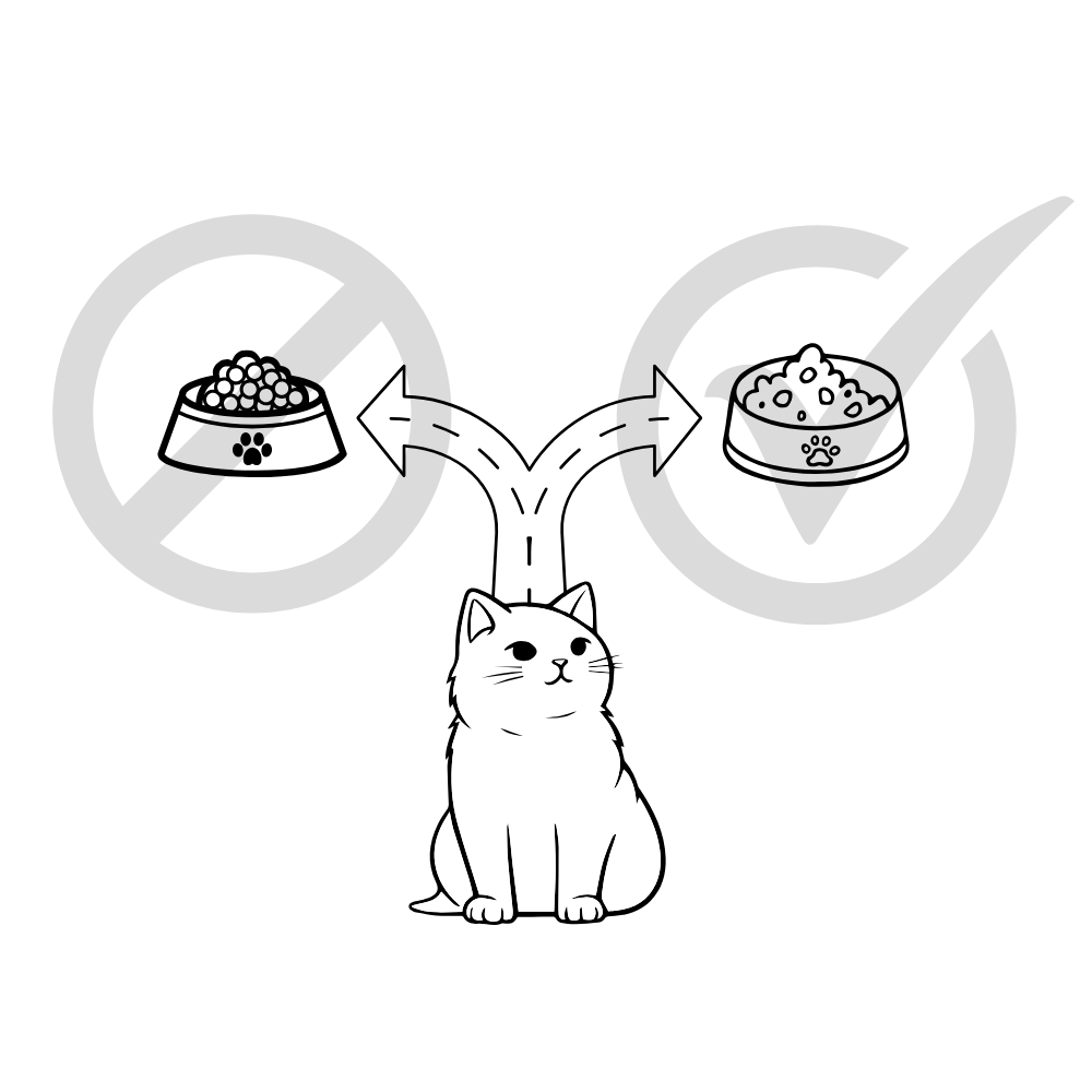 cat deciding between high carb dry food and low carb wet food. With low carb wet food having a check mark and high carb dry food being crossed out.