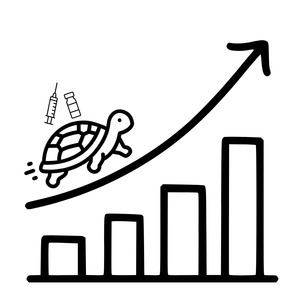 turtle graphic, showing taking your time with insulin and dose amount.