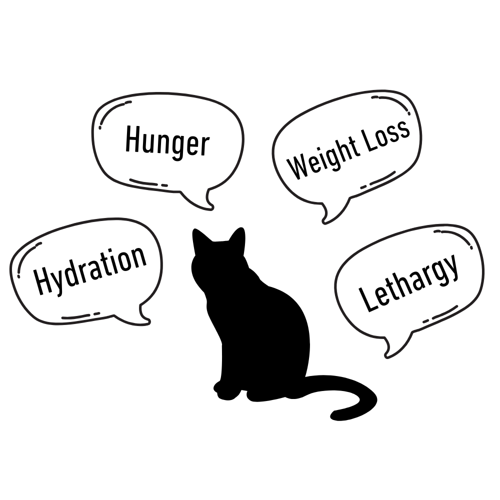 cat symptoms saying hydration, hunger, weight loss, and lethargy.